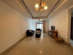 Valley Park (D10), Condominium #458670171
